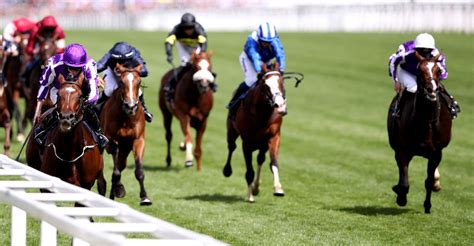 trixie bet explained|patent bet william hill.